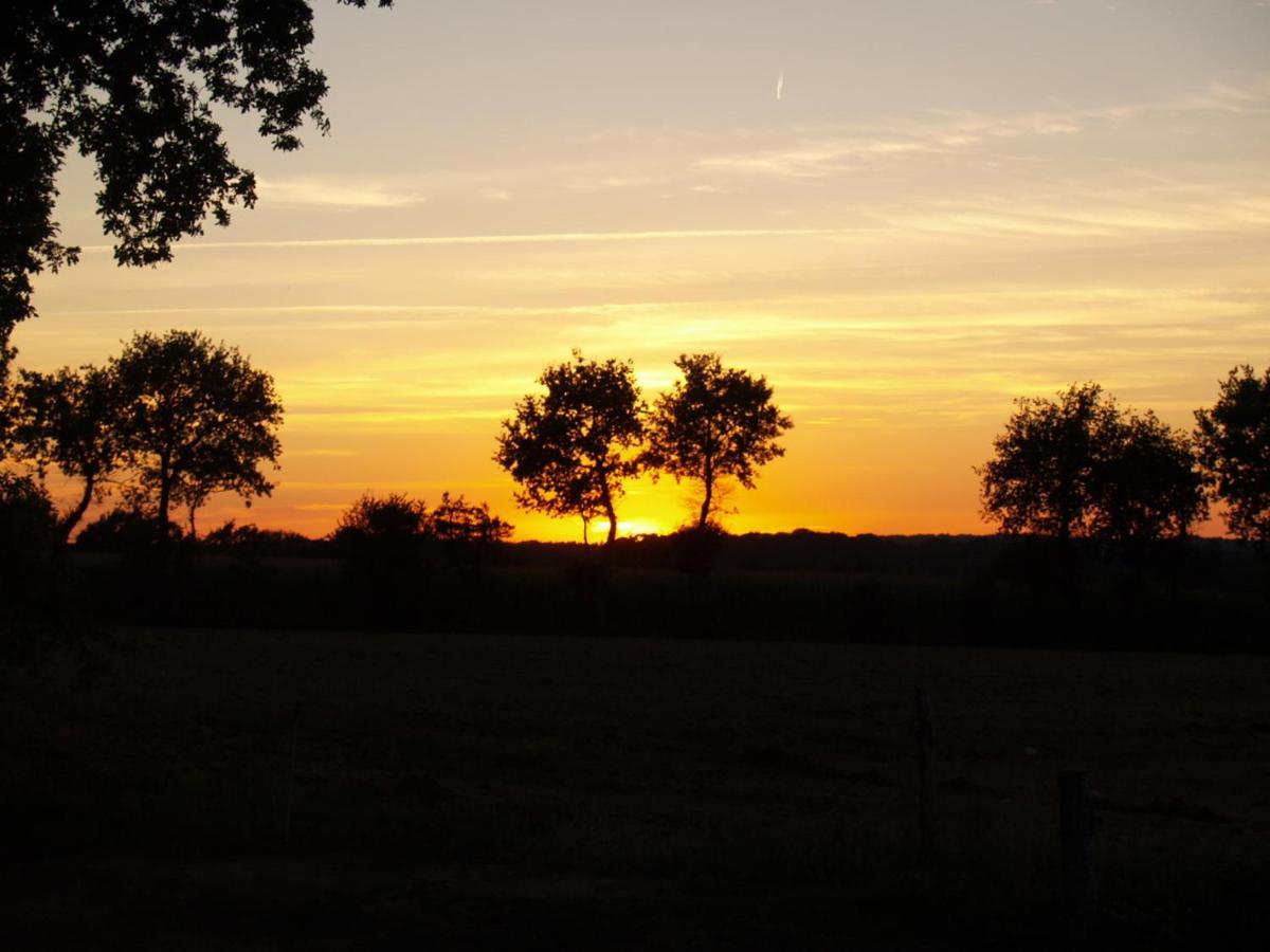 Camping Chez L'Habitant Noyal-Muzillac Exterior foto